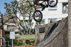 DSC00822-Edit