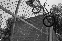 Davy_Watson_RIP_005
