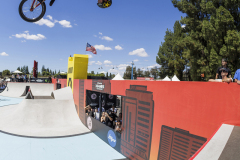 LOGAN_MARTIN_BMX_DAVE_MIRRA_PARK_BEST_TRICK_-002